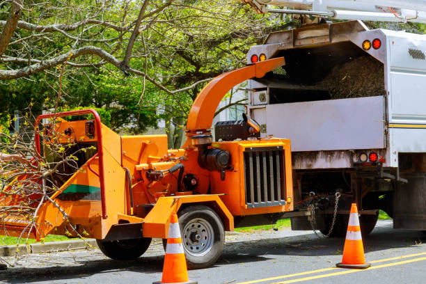 Best Tree Disease Treatment  in Jonesboro, IN